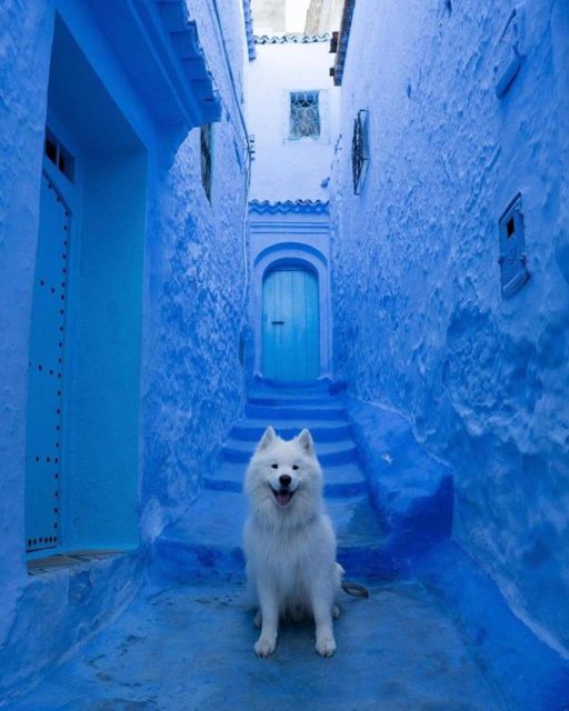 Chefchaouen Day Trip With Small Group - Disclaimer and Final Notes