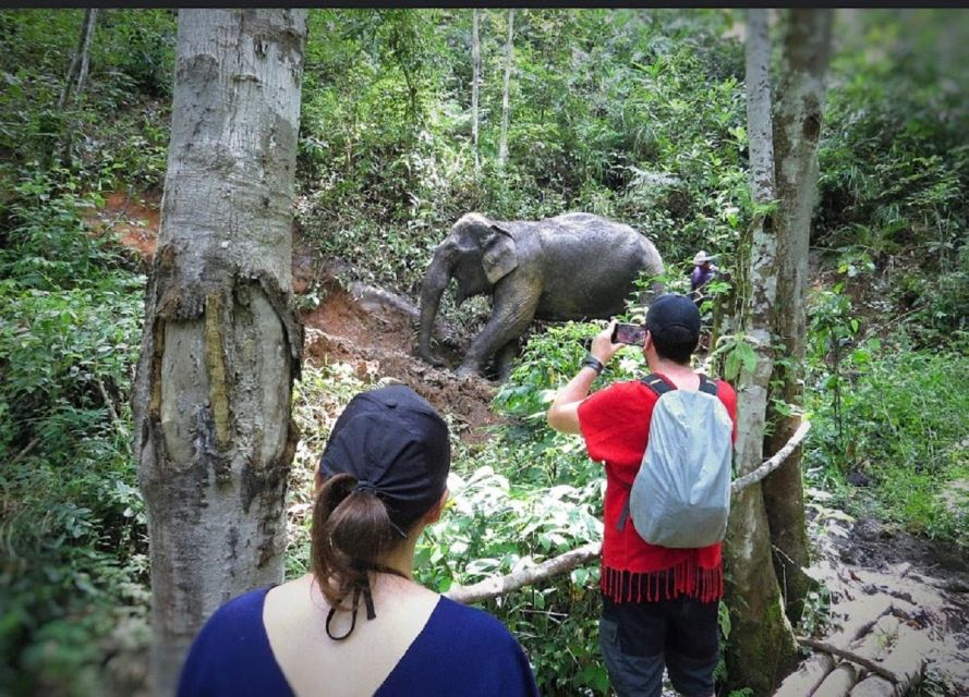 Chiang Mai :Doi Inthanon Explore &Ethical Elephant Sanctuary - Overview of Itinerary