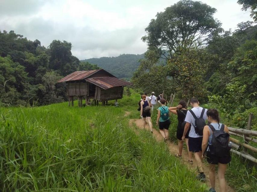 Chiang Mai: Doi Inthanon National Park Tour & Waterfall Trek - Cultural Immersion