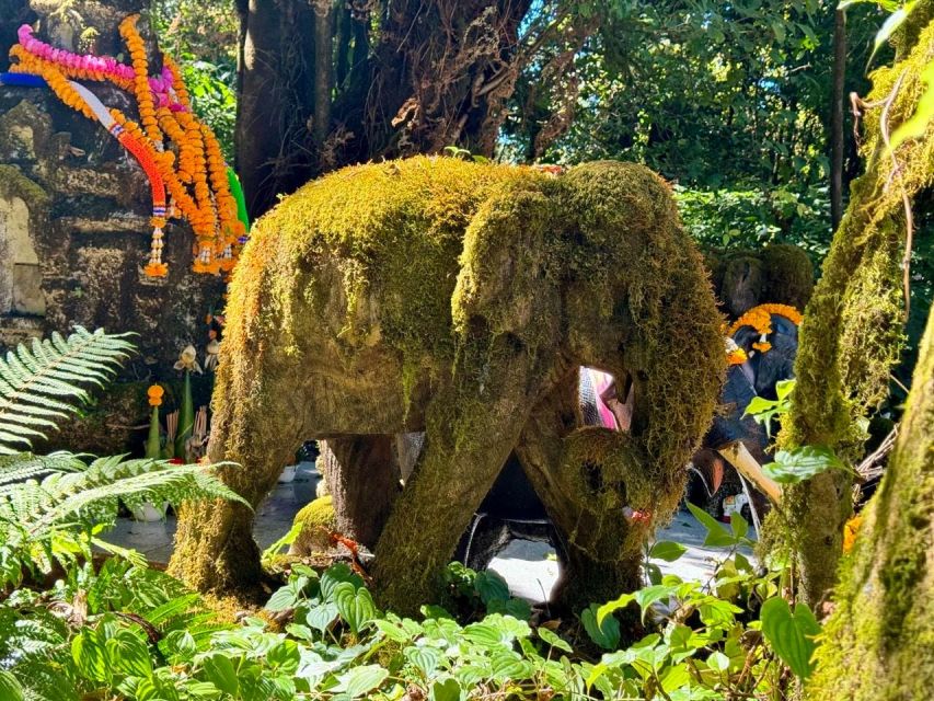 Chiang Mai Elephant Recovery Center, Doi Inthanon and Hiking - Participant Information