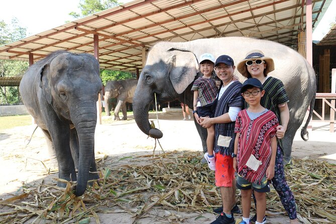 Chiang Mai Elephant Sanctuary Small Group Ethical Tour - Contact Information and Resources