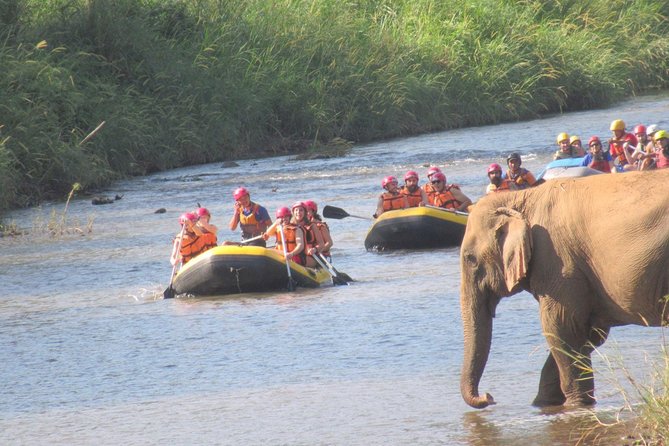 Chiang Mai Elephants, Trekking, and Rafting Group Tour - Customer Reviews