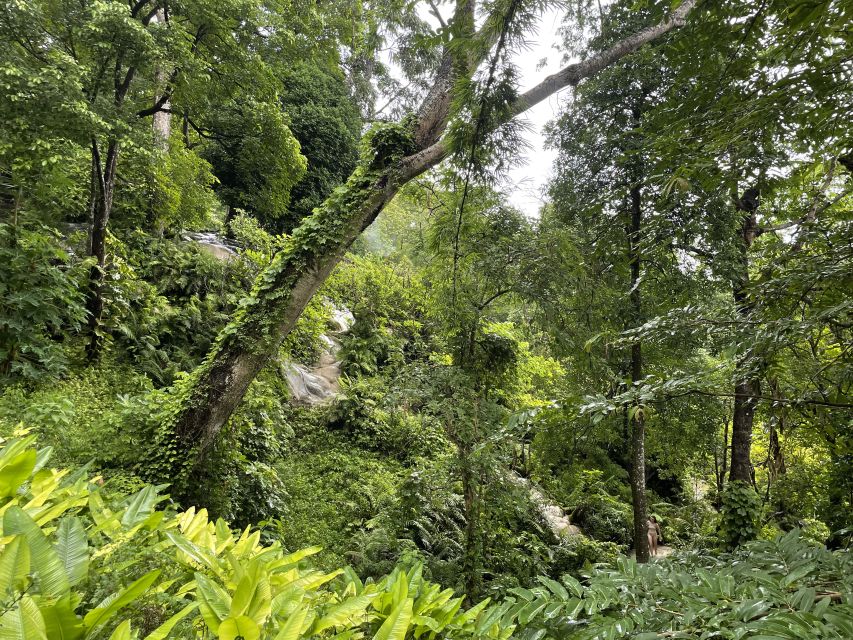 Chiang Mai: Enjoy Climbing Sticky Waterfall - Important Information for Your Visit