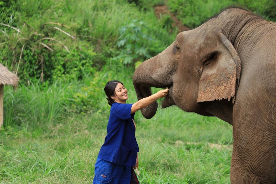 Chiang Mai: Ethical Elephant Sanctuary Day Tour & Lunch - Main Stop Highlights