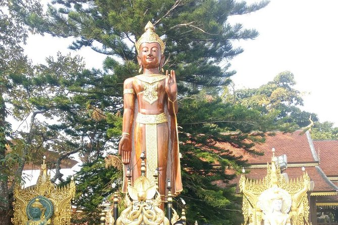 Chiang Mai Private Tour With Tea Plantation, Karen Village, Doi Suthep - Pricing and Provider Information