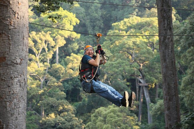 Chiang Mai Zip Line Experience - Additional Information and Pricing