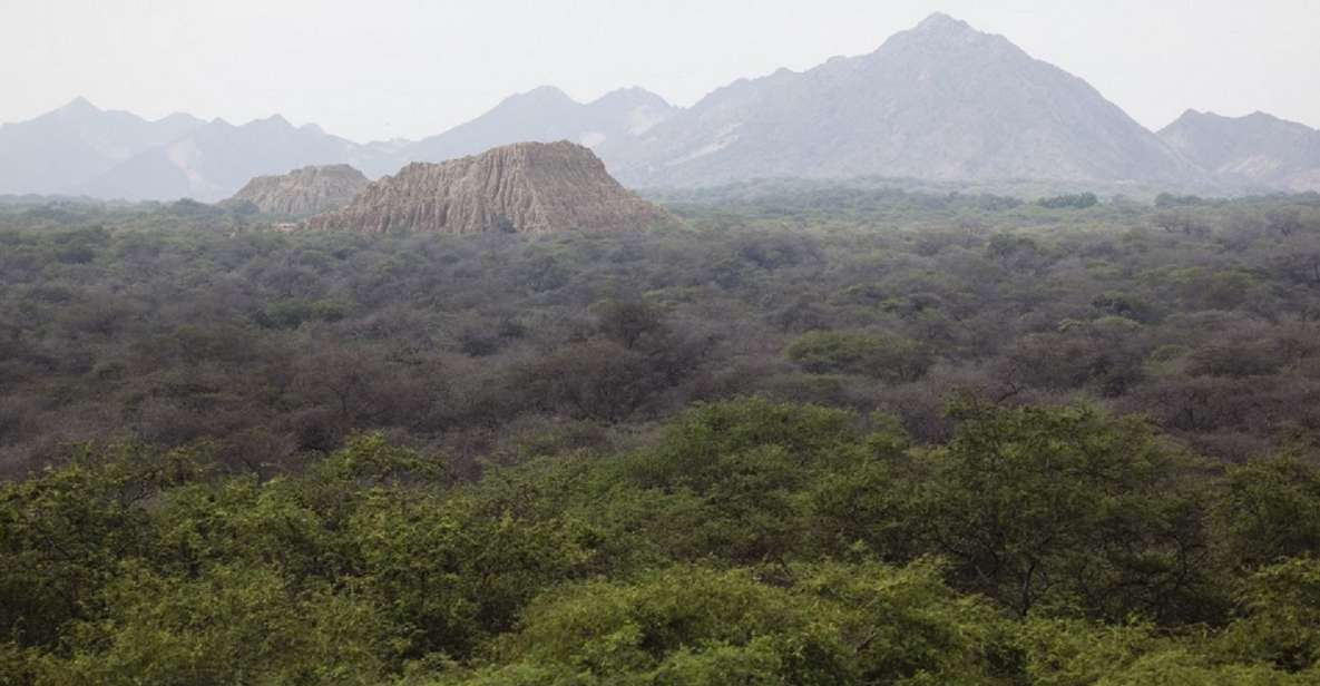 Chiclayo: Pomac Forest Historic Sanctuary & Sican Museum - Common questions