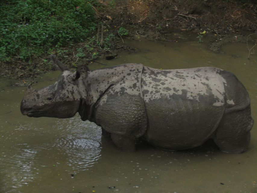 Chitwan National Park Safari - Flexible Reservation and Payment Options