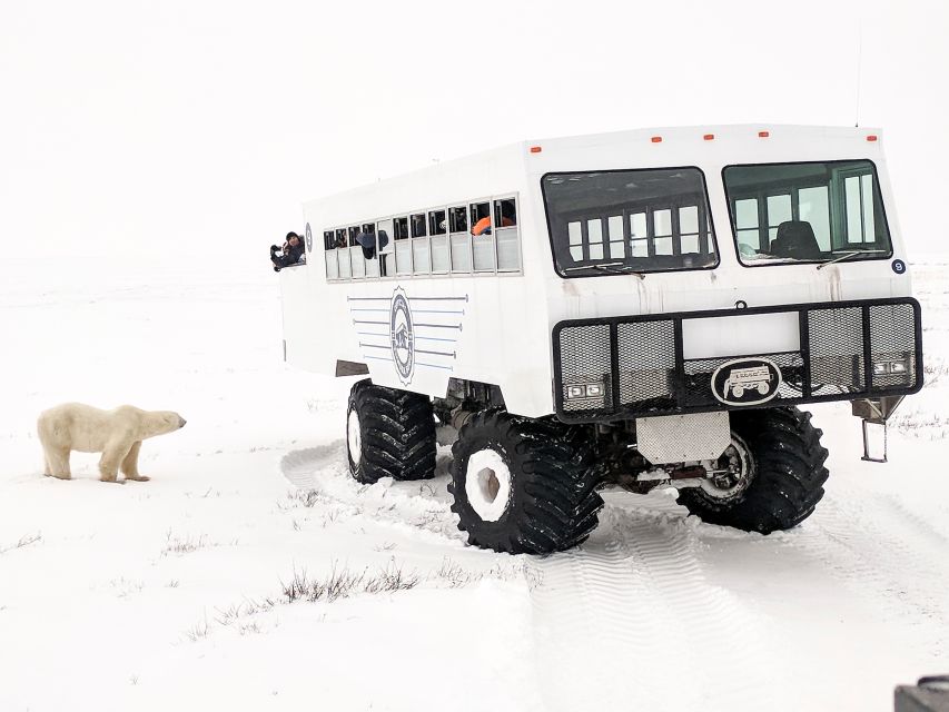 Churchill: Exclusive Tundra Buggy Day Trip - Directions