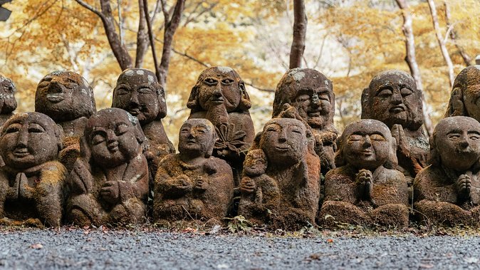 City Escape: Arashiyama Park Private Day Trip - Entrance Fees & Inclusions