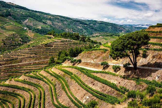 City Escape: Douro Valley Private Day Trip - Pricing and Viator Information