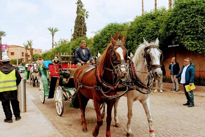 City Tour in Marrakech, Book Your Guide With Us. - Booking Process