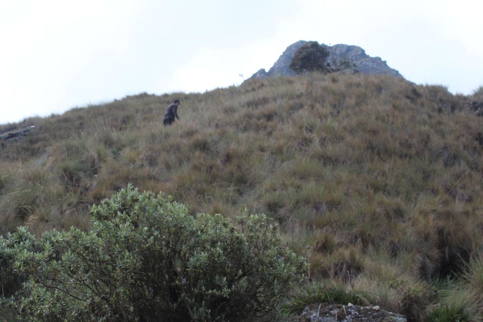 Classic Inca Trail Trek - Requirements and Preparations