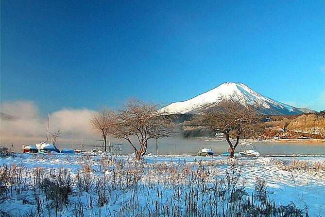 Classic Mount Fuji One-Day Tour With Daily Chauffeur - Copyright Notice and Terms