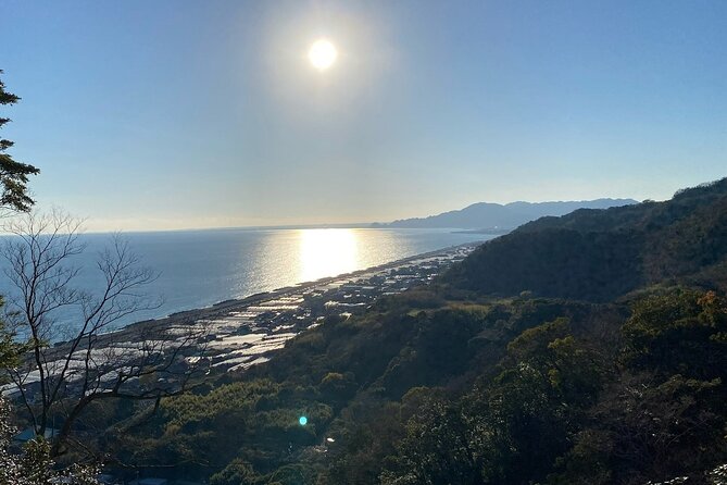 Classic Shizuoka With Mt.Fuji Viewing 1 Day Private Tour - Important Reminders