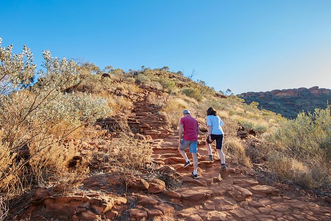 Coach Transfer From Kings Canyon Resort to Ayers Rock (Uluru) - Reviews and Ratings Overview