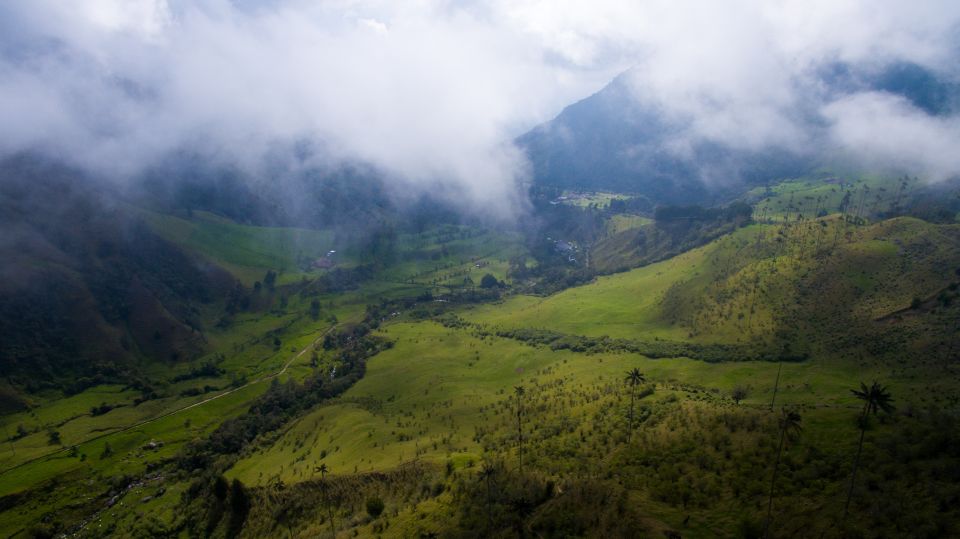 Cocora Valley and Salento Guided Hiking Tour - Overall Experience