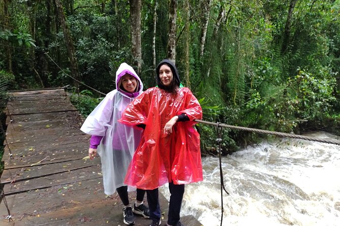 Cocora Valley and Salento Hike Tour - Additional Tour Information