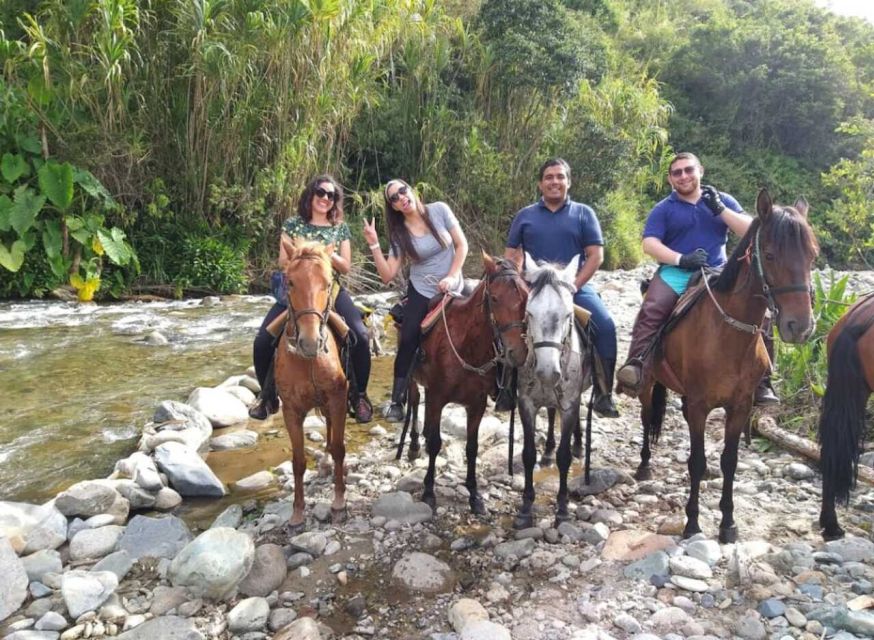 Cocora Valley and Salento Tour With Horseback Ride - Customer Reviews