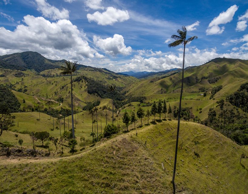 Cocora Valley, Salento and Coffee Farm Tour - Language Support