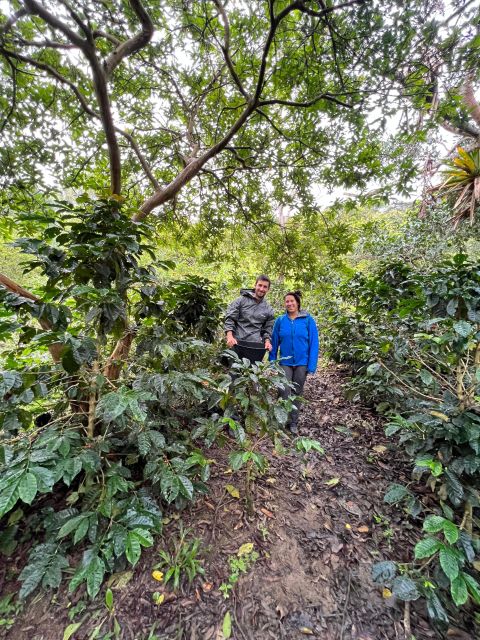 Colombia: Private Coffee Tour - Coffee Tasting Experience