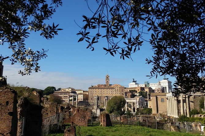 Colosseum and Roman Forum Private Tour Led by an Archaeologist - Tour Itinerary