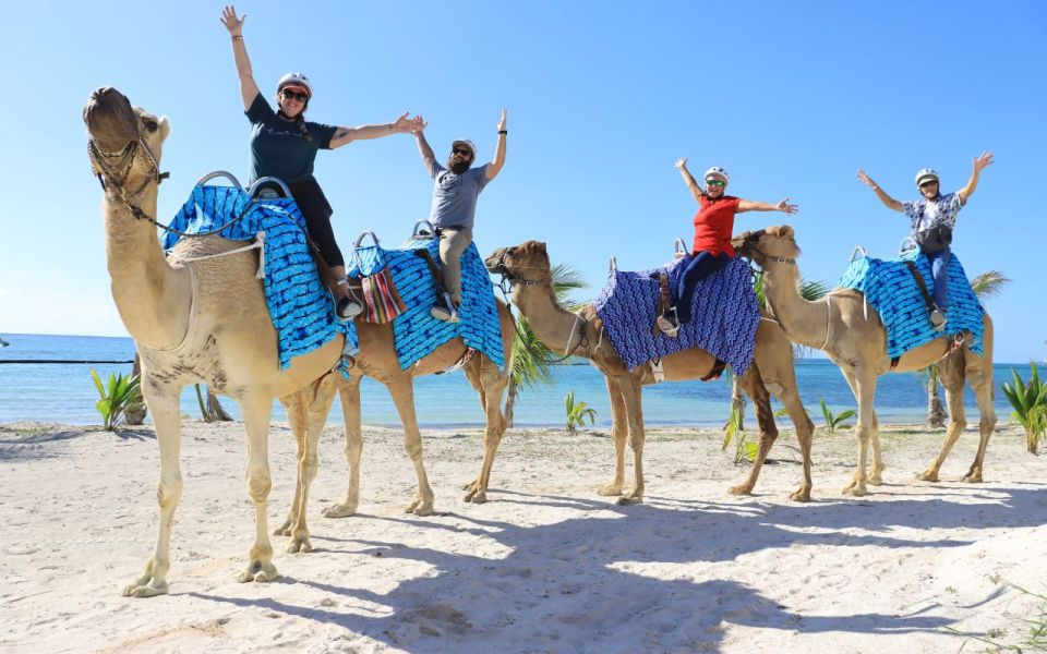 Combo Adventure: Parasailing and Camel Caravan in Maroma - Reservation and Payment