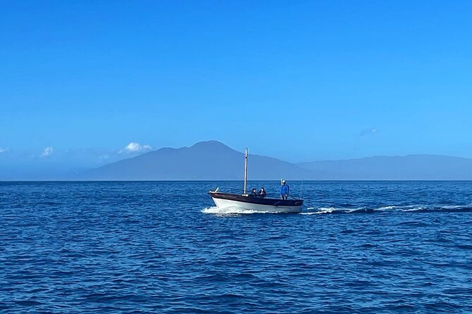 Complete Private Guided Two Hour Tour of the Coast of Capri - Customer Reviews and Ratings