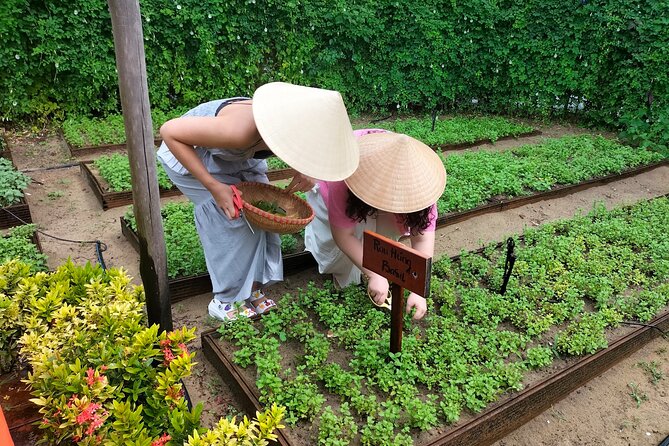 Cooking Class Hoi An - Organic Garden - Farming Tour - Additional Information