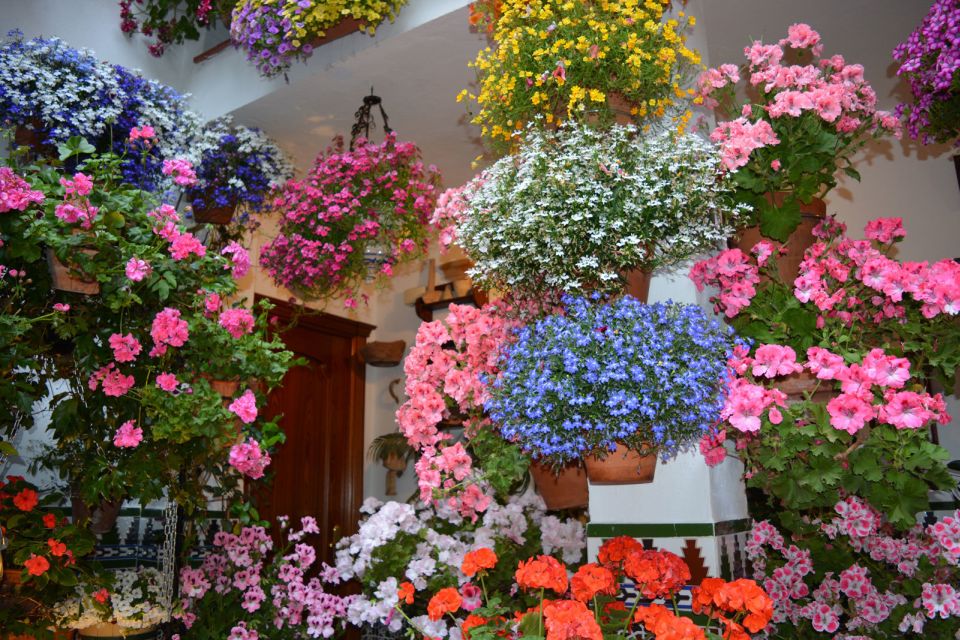 Cordoba: Patios & Flowers Private Walking Tour - Participant Information and Reviews