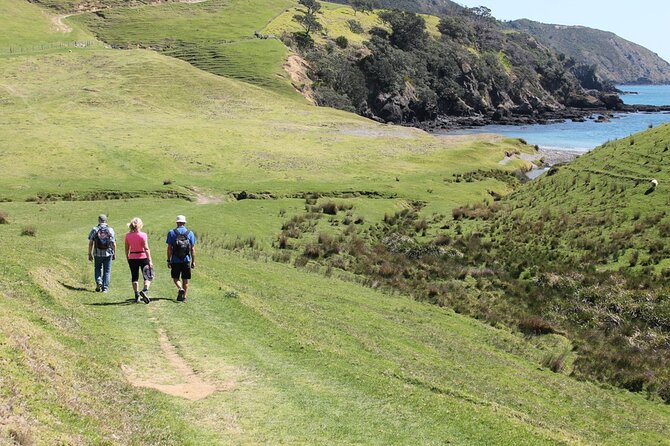 Coromandel Coastal Walkway: Full-Day Hike and Bike Tour - Terms and Conditions