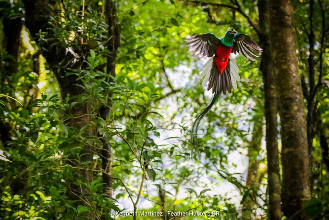 Costa Rica Full-Day Private Nature Tour  - Puntarenas - Last Words