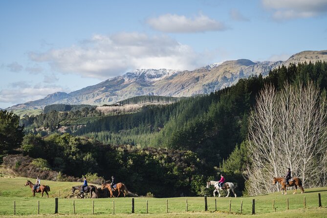 Country Experience at Mohaka River Farm - Cancellation Policy and Reviews