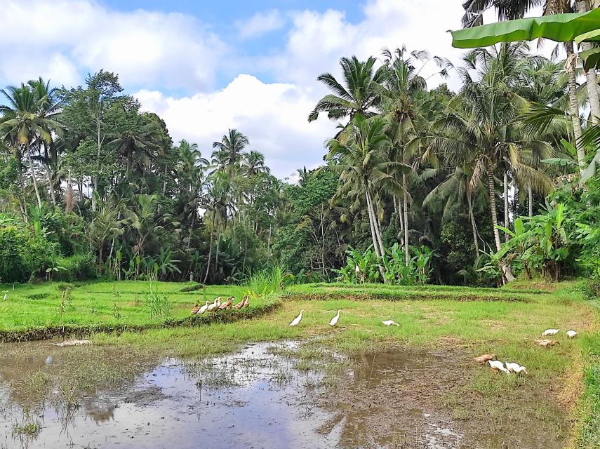 Country Side Electric Bike Tour - Starting Location