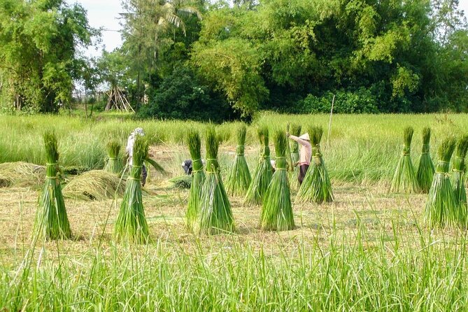 Countryside Bicycle Tour From Hoi an - Common questions