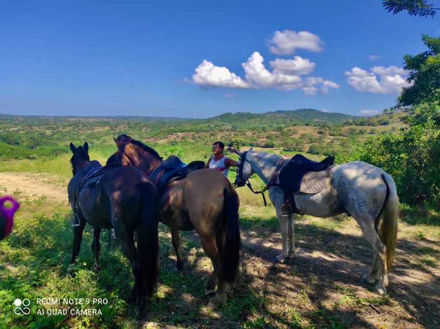 Countryside Horseback Riding Eco-Adventure Near Cartagena - Scenic Highlights and Photography