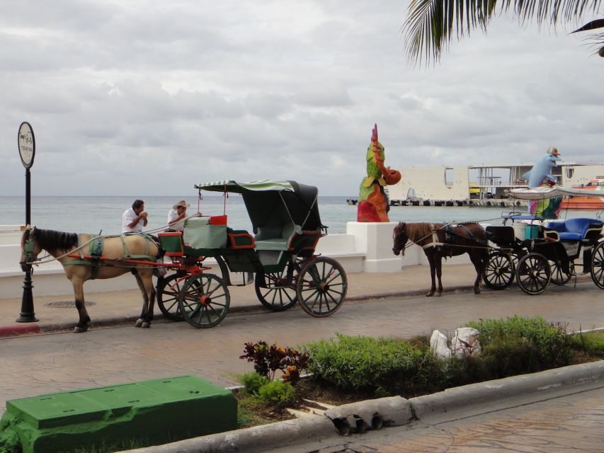 Cozumel Historical Walking Tour With Lunch - Location & Details