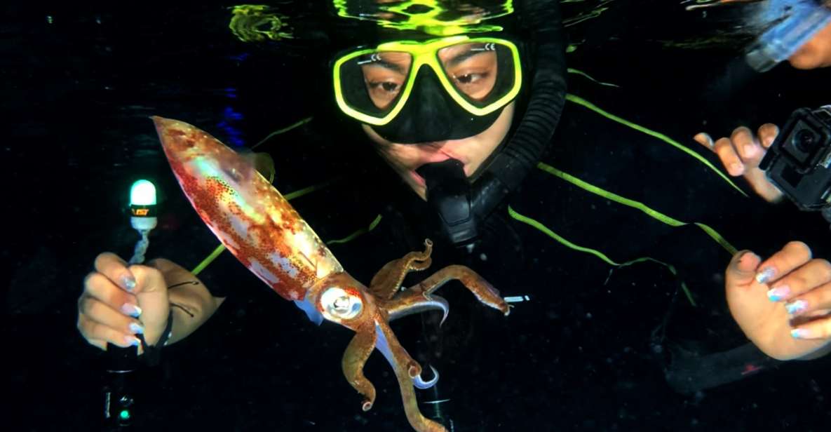 Cozumel: Night Time Snorker Session - Common questions