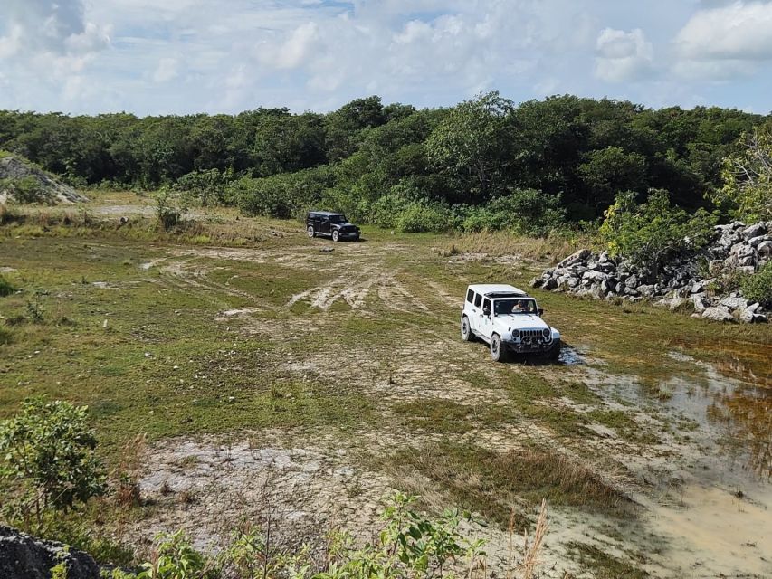 Cozumel: Private Caves and Ruins Jeep Tour With Picnic - Highlights of the Experience