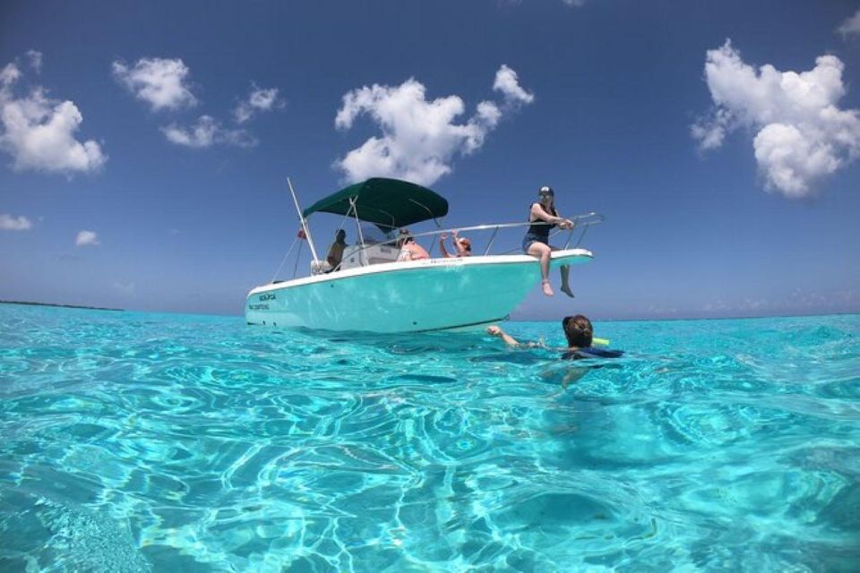 Cozumel: Private Snorkeling and Charter Experience - Guides and Language Support