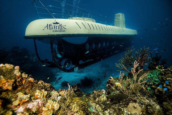 Cozumel Submarine Experience - Booking Process and Pricing