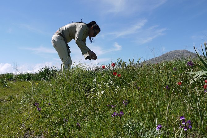 Crete Margarite Amari Valley and Spili Small-Group Tour  - Heraklion - Additional Details and Booking Information