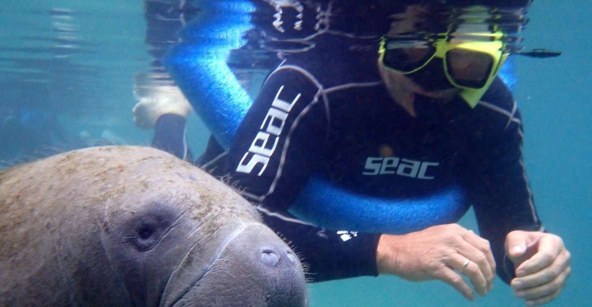 Crystal River: Manatee Snorkel Tour W/ In-Water Photographer - Pricing and Booking Options