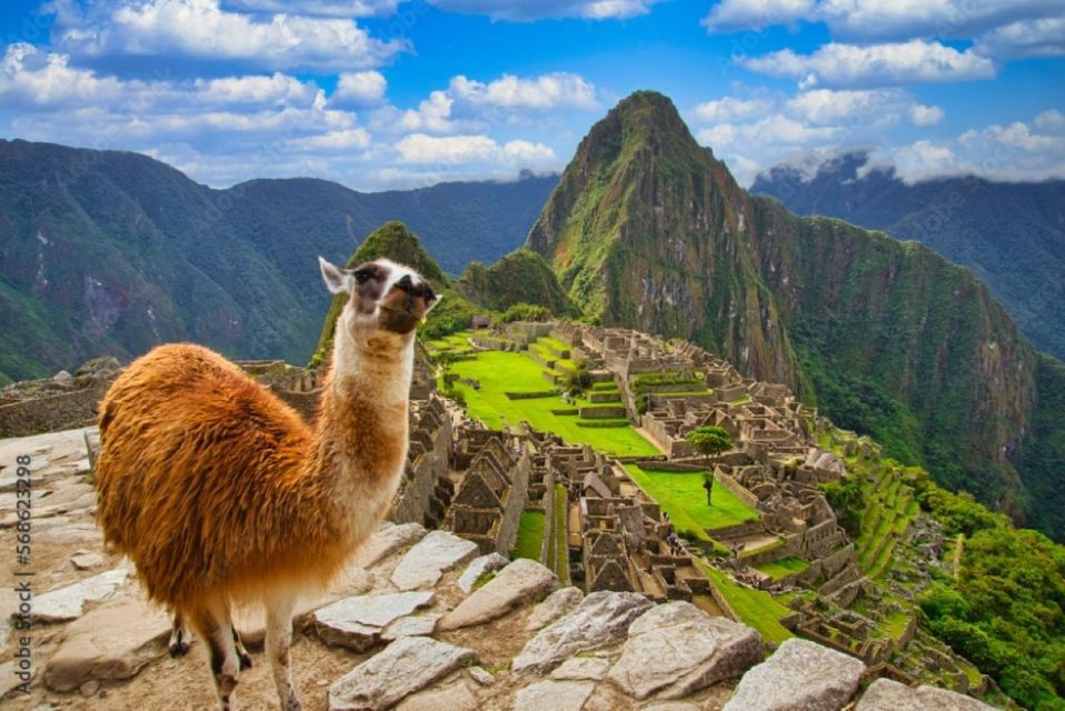 Cusco: Excursion to Machu Picchu 1 Day General Ticket & Train - Exclusions