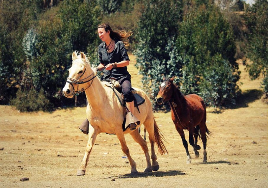 Cusco: Horseback Riding Tour the Temple of the Moon - Pricing and Booking