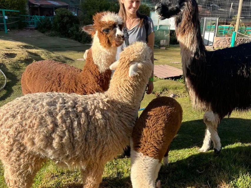 Cusco: Sanctuary of Animals Rescued "Cochahuasi" - Animal Sanctuary Visit