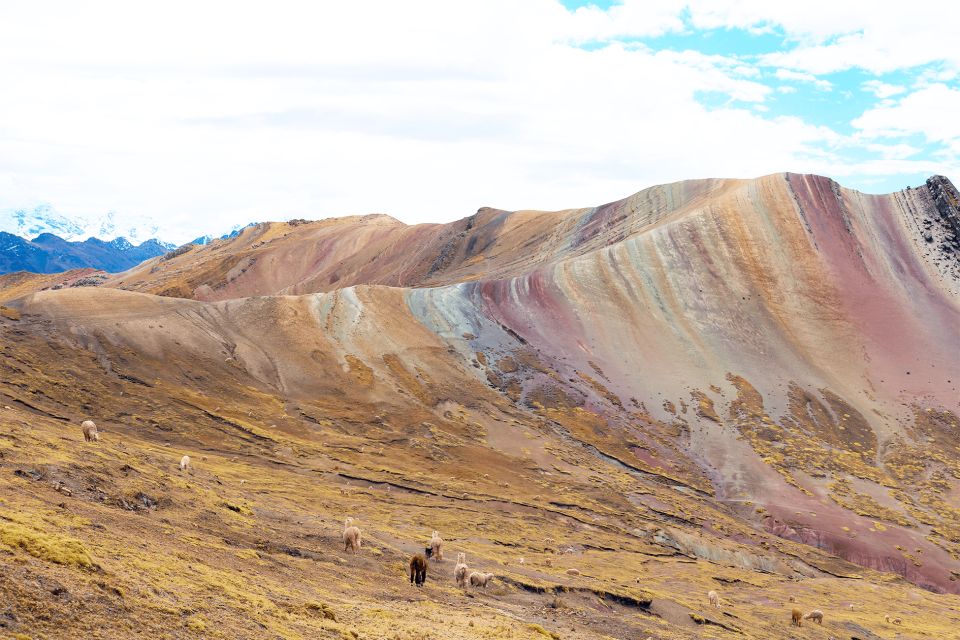 Cusco: Trekking Palcoyo Mountain - Background