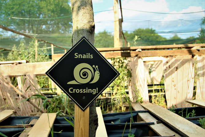 Czechia Degustation Snail Farm Gastro Tour  - Prague - Reviews Overview