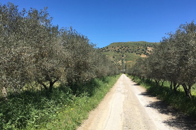 Daily Biking in the Rural Sicily - Guided Biking Adventures in Sicily