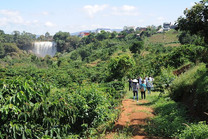 Dalat Coffee Plantation Tour With Free Gift  - Central Vietnam - Cancellation Policy Details